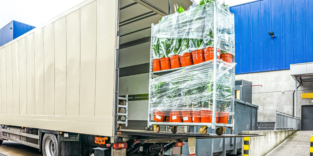 Operfo grow table films